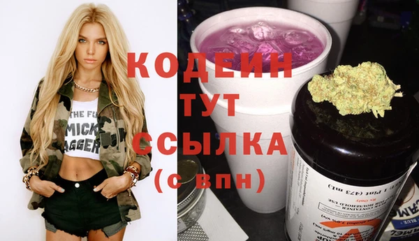 индика Абдулино