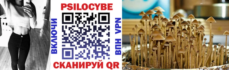 Галлюциногенные грибы Psilocybine cubensis Абакан